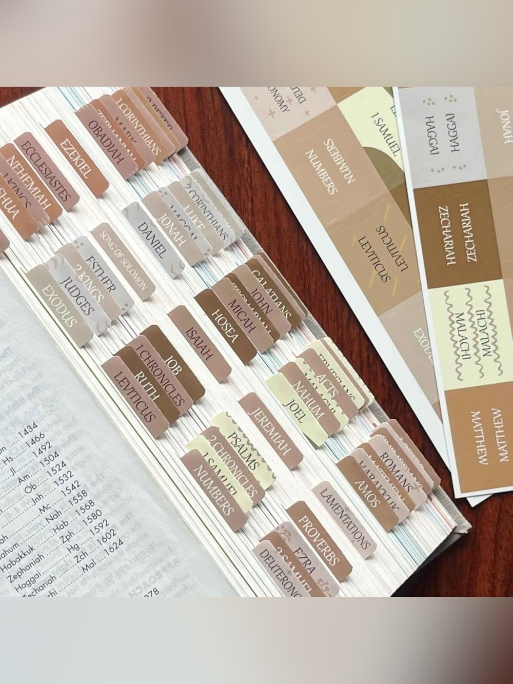 Laminated Large Print Bible Tabs